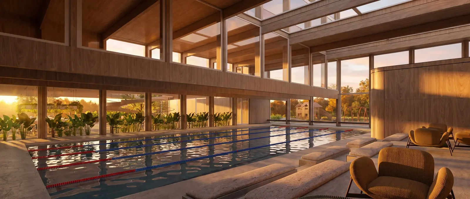 Render em grande formato de uma piscina semiolímpica sob estrutura de madeira
